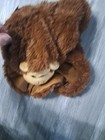 Bild 8 von 10