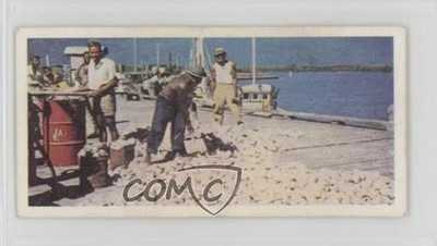 1959 Lyons Tea Australia Tea Pearl Fishing #39 4az