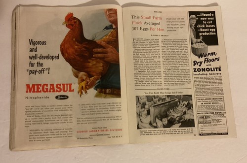 Country Gentleman Magazine Oct 1953 Ads Camel Jello Browning Lucky Strike Ford - Picture 18 of 24