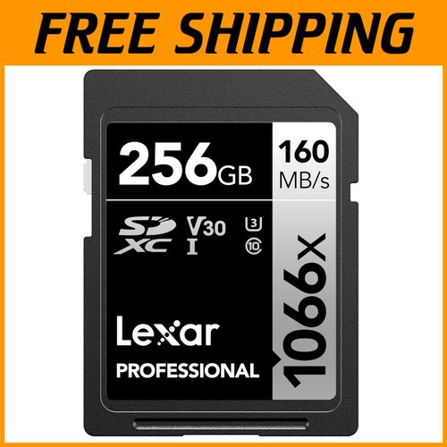 Professional 256GB SDXC Card with 160MB/s Speed - Ideal for 4K UHD Recording - Foto 1 di 9