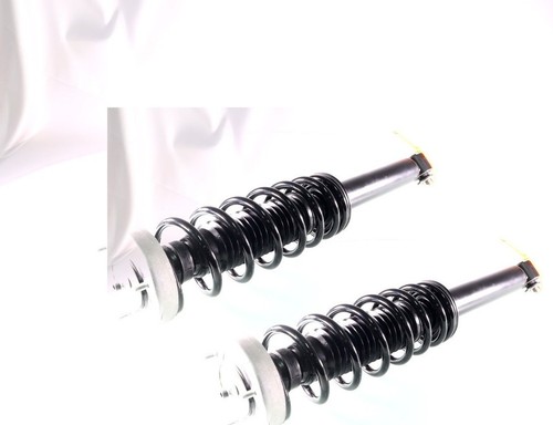 2x Complete Struts Assembly Rear for BMW Series 5 (E60) 2003-2010 2WD