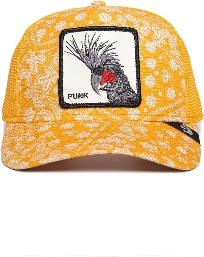 Goorin Bros: The Farm Trucker Paisley Spray Paint Arch  display picture 3