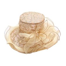 Women's Organza Hat Church Kentucky Derby Feather Veil Fascinator Cap Bridal