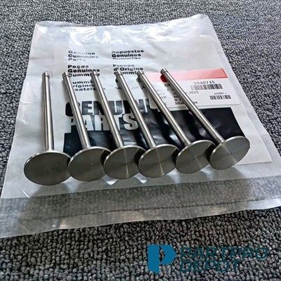 6x DCEC Valves Intake For Cummins Ram 5.9L 6.7L 1998-19 24V