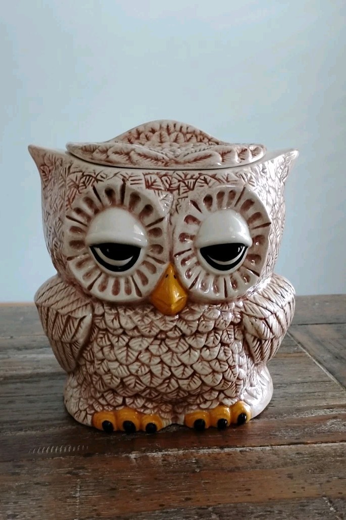 Vintage Retro MCM 1970s Double Side Sleepy Eyed Owl Canister