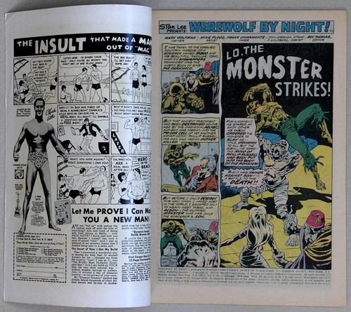Werewolf by Night #14 Vol 1 - Marvel Comics - Marv Wolfman - Mike Ploog - Picture 2 of 5