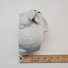 Foto 19 di 19
