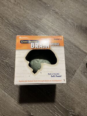 Learning Resources Soft Foam Cross Section Brain Model Teaching Aid