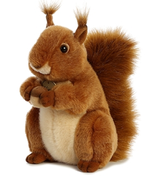 red squirrel teddy