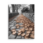 Fallen Leaves Path Canvas – Autumn Forest Photography Wall Art