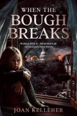 Joan Kelleher When the Bough Breaks (Taschenbuch)