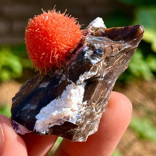30G Indian dandelion zeolite Quartz Crystal Cluster Mineral Specimen - Picture 11 of 12