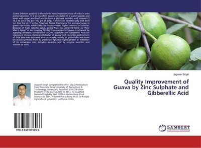 Quality Improvement of Guava by Zinc Sulphate and Gibberellic Acid Jagveer Singh