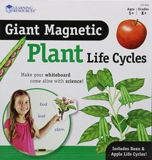 Learning Resources Giant Magnetic Plant Life Cycle - STEM 7'10", Multi-color