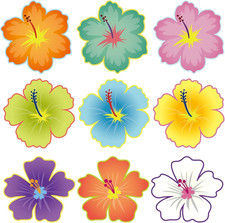 45 piezas recortes de flores de hibisco Luau regreso a la escuela tablón de anuncios decoraciones Se