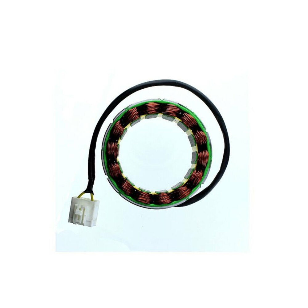 Free Shipping Electrosport Stator For Motorcycle Parts Accessories