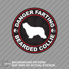 Danger Farting Bearded Collie Sticker Decal Vinyl dog canine pet