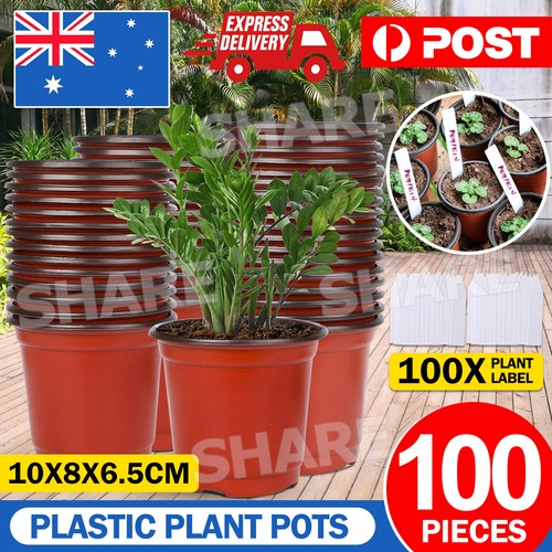 100x Plastic Plant Flower Garden Pots Nursery Seedlings Pot Growing ...