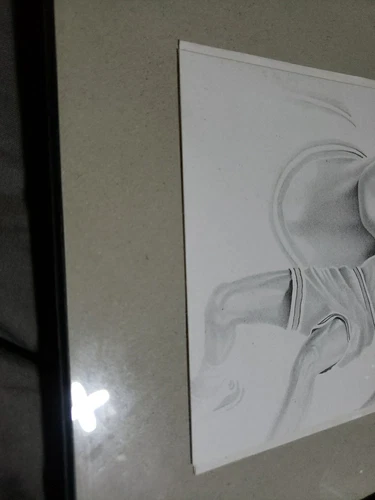 Impresión litográfica Michael Jordan 1992 - Imagen 4 de 8