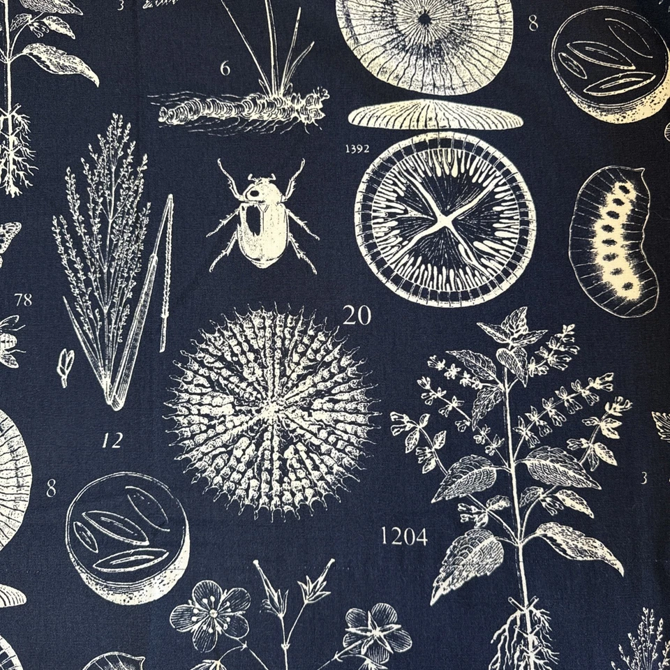 IKEA Blavinge Blue Nature Science Juego de 2 paneles de cortina 56x61/1 farsa 20x20 Foto 3 de 4