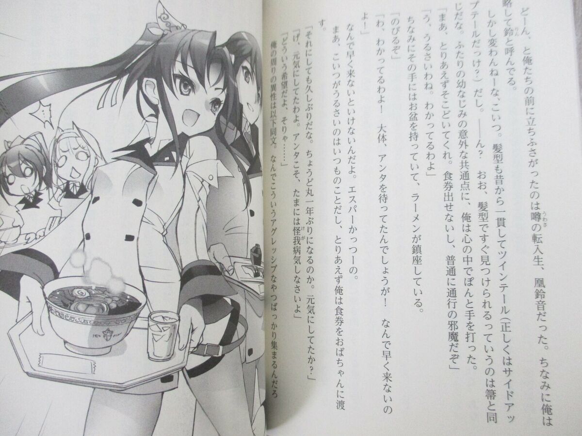 The INFINITE STRATOS Light Novel Series Is Ending On It's 13th Volume