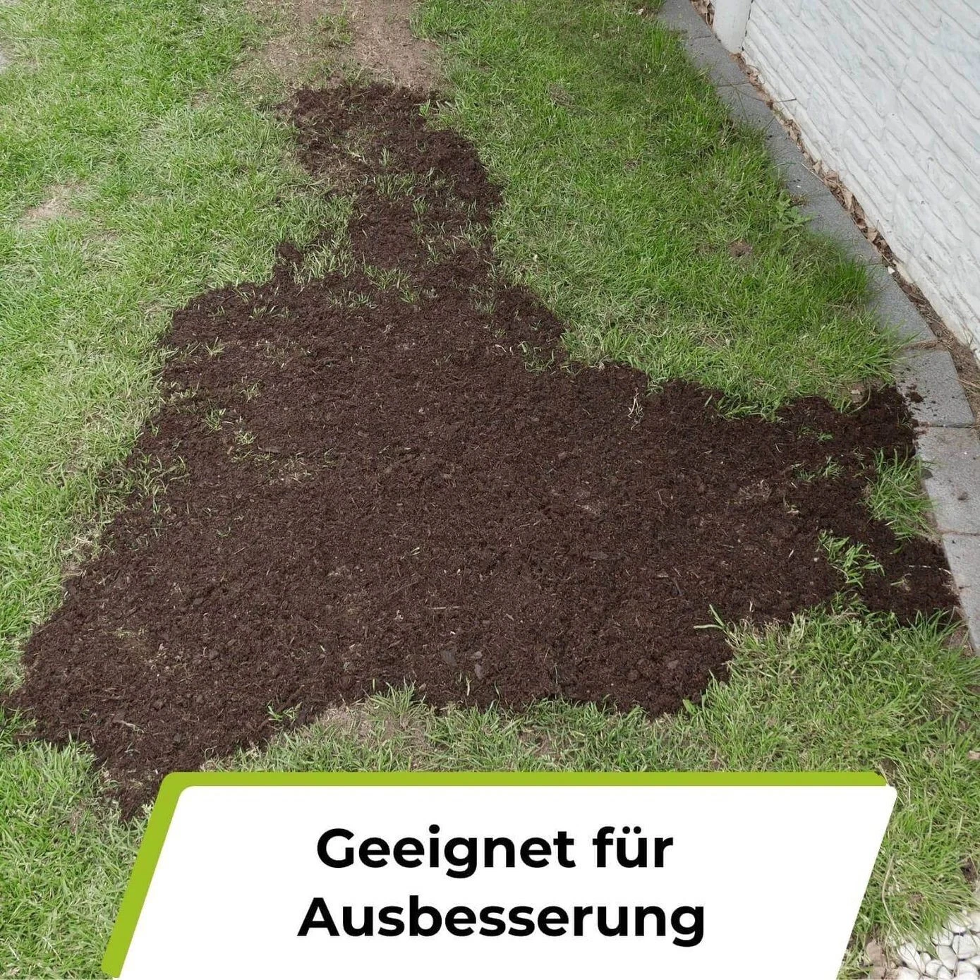 Bild 8 von 9