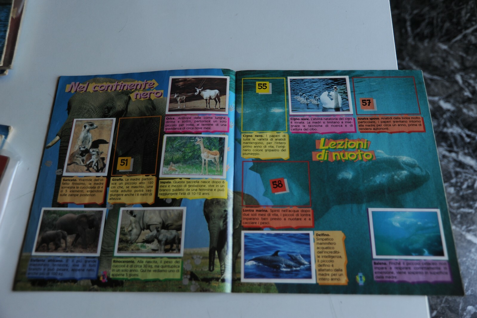 Picture 4 of 9