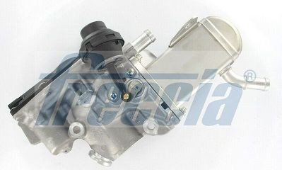 FRECCIA EGR12-212 Egr Module Fits Renault Scenic MK3 Megane MK3 Hatchback Coupe