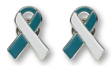 2 Teal  White Cervical Cancer Awareness Jewelry-Quality Enamel Ribbon Pins W...