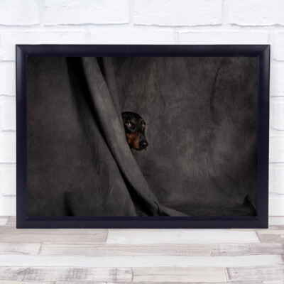 Like A Thief In The Night Studio Peaking Dog Portrait Dogs Wall Art Print