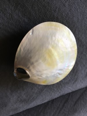 Vintage Ocean Shell Pocket Case Half Shell Half Metallic With Magnetic Clamp