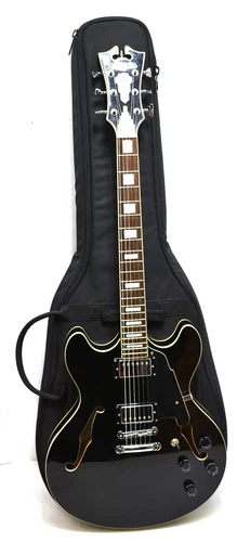 D'Angelico Premier Series DC Hollow Body Electric Guitar