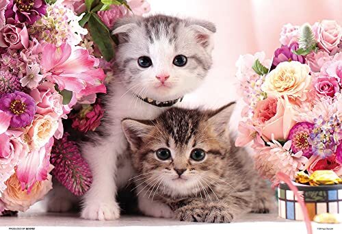 PRETTY PET CATS 1000 Micro Pieaces Puzzle Beverly 1000M-007 - Bild 1 von 4