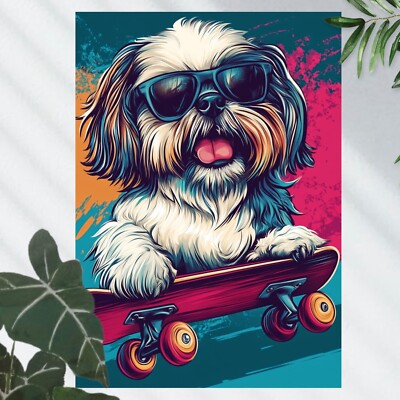Shih Tzu Hund auf Skateboard   Poster Schöne Wanddeko Dekoration