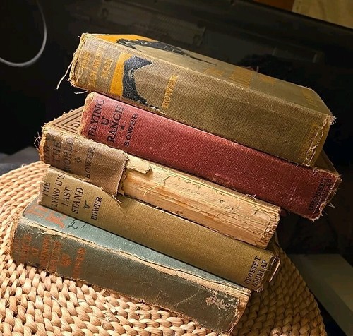 Antique Book Lot Of 5 From Well Known American Western Author B.M. Bower 1st Edi - Picture 2 of 18