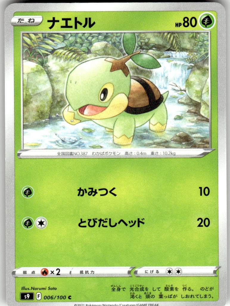 Turtwig 006/100 Common Star Birth Pokemon Japanese Near Mint