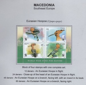 Macedonia / 2008 / #432 / WWF / Eurasian Hoopoe / Block of 4 / MNH / 260-3