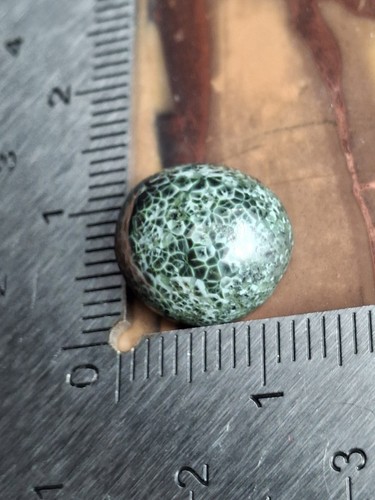 1.6g Isle Royale Greenstone Chlorastrolite Cab Cabochon Michigan Chatoyant Round - Picture 8 of 10