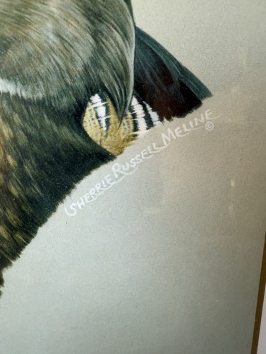 Meline Duck Drucke mattiert und gerahmt (12,75”x15,75”) - Bild 3 von 4