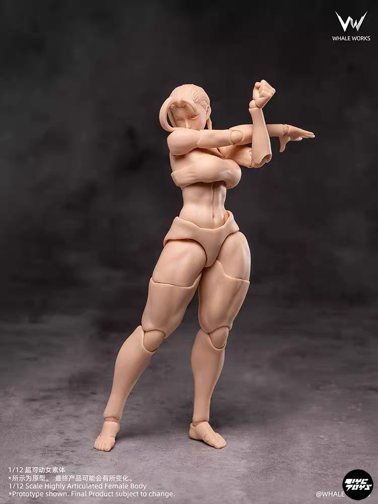WHALE WORKS WW02A 1/12 RIN Pale Girl Action Figure Female 6" Doll Body&Head Toy