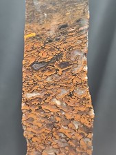 Gem Bone W/ Crystallization Slab Specimen (51.9 Grams)