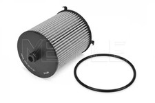Filtre à carburant Mg TF