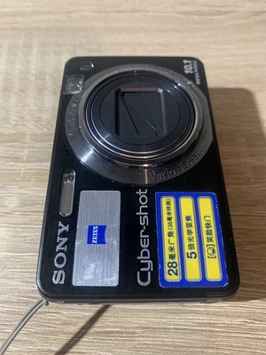 Sony Cyber-shot DSC-W170 10.1MP Digital Camera - Silver (DSC