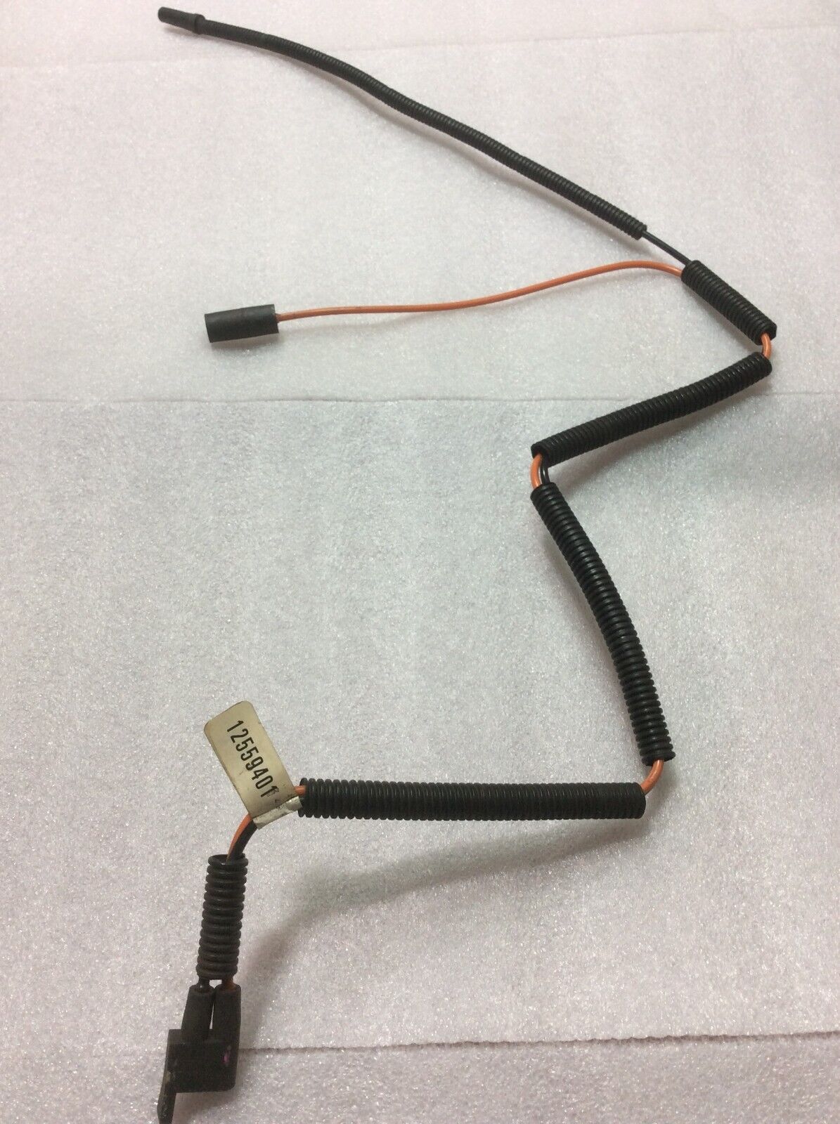 Foto 1 di 2