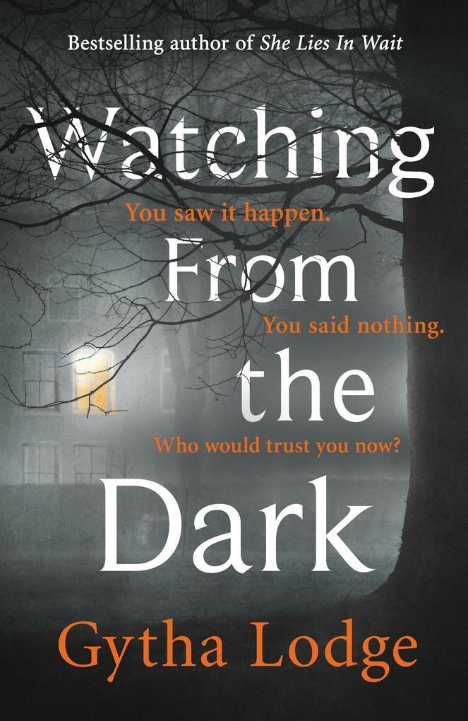 Thumbnail - Watching From The Dark | Gytha Lodge | 2020 | Englisch