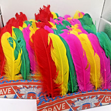 Real Feathers for Crafting Vintage Party Hat Feathered Head Dress Set of 25