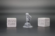 Bard with Lute Foot on Barrel 32mm Miniature Dnd Skirmish