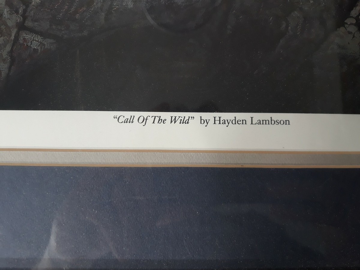 ペンデルヘイヴン　英語　foil サインド Foil】□旧枠□《ペンデルヘイヴン/Pendelhaven》[TSB] 土地R | 日本