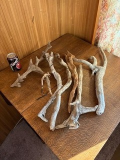 Driftwood x6 sculptural silver branches. bogwood for vivarium or Display