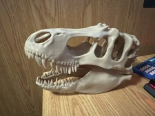 T-Rex Skull Replica Dinosaur Tyrannosaurus Head